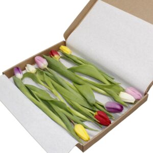 Gemengde brievenbus tulpen