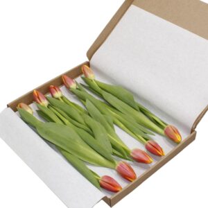 Multicolour warme brievenbus tulpen