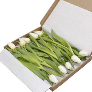 Witte brievenbus tulpen