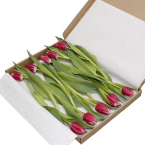 Multicolour vrolijke brievenbus tulpen
