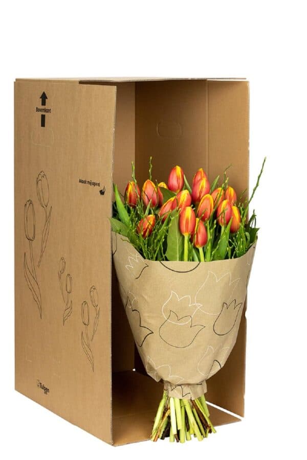 multicolour warme bos tulpen in doos
