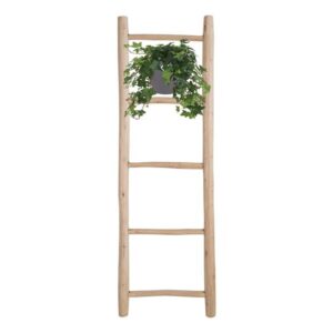 Hedera Helix Groen – Hangpot Wit / Basic – Ø17cm – cm