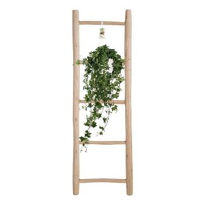 Hedera Helix Pitsburg – Hang/XXL – Ø17cm – 90cm