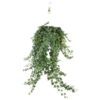 Hedera Helix Pitsburg – Hang/XXL – Ø24cm – cm