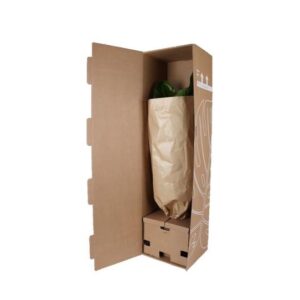 Alocasia Regal Shield Ø21cm – 100cm in Albury NATURAL mand