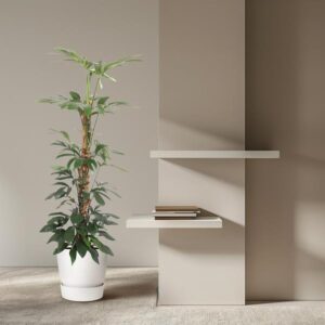 Philodendron Dragon Tail mosstok – Ø27cm – 150cm